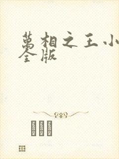 万相之王小说完全版封面