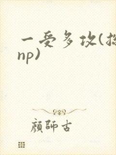 一受多攻(总受np)