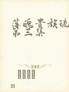 落魄贵族琉璃川第三集封面