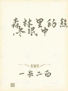 森林里的熊先生 ,冬眠中