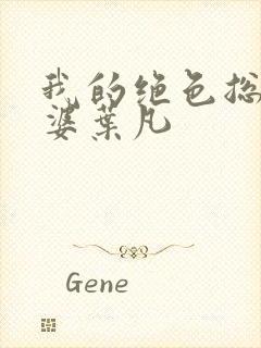 我的绝色总裁老婆叶凡封面