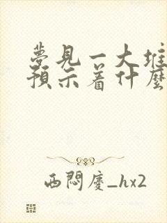 梦见一大堆鞋子预示着什么封面