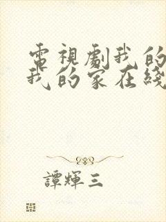 电视剧我的孩子我的家在线观看封面