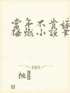 当年不肯嫁春风梅燃小说笔趣阁