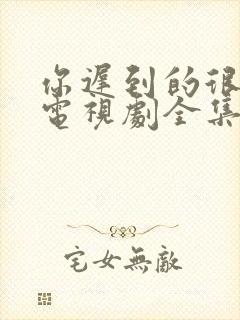 你迟到的很多年电视剧全集免费观看