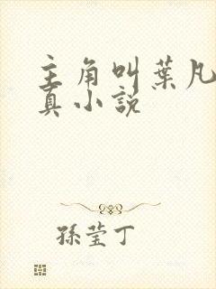 主角叫叶凡的修真小说