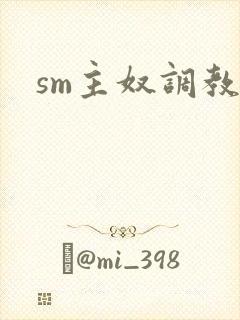 sm主奴调教
