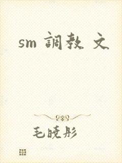 sm 调教 文封面