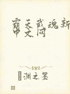 霸天武魂新八一中文网