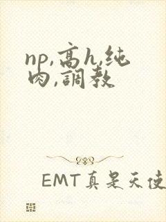 np,高h,纯肉,调教