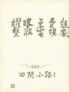 耀眼免费观看完整版电视剧全集