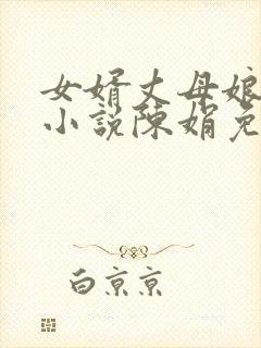 女婿丈母娘言情小说陈娟免费阅读