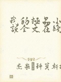 我的极品小姨小说全文在线阅读封面