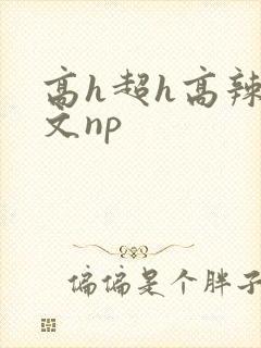 高h超h高辣h文np封面