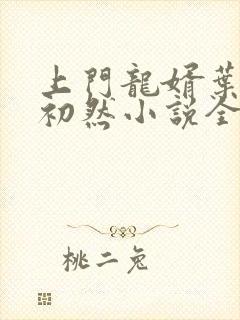 上门龙婿叶辰萧初然小说全集