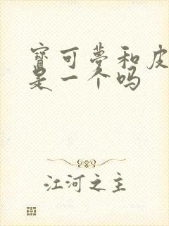 宝可梦和皮卡丘是一个吗