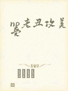 np老丑攻美人受