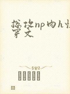 总攻np肉h快穿文