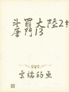 斗罗大陆2绝世唐门13