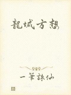 龙城方想封面