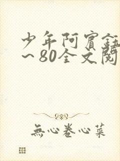 少年阿宾钰慧1～80全文阅读目录