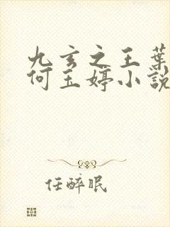 九玄之王叶浮生何玉婷小说全文免费封面