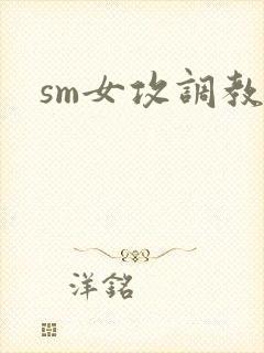 sm女攻调教文
