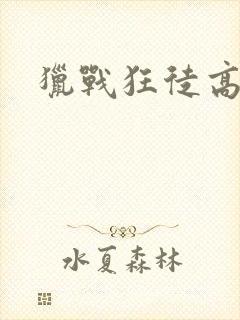 猎战狂徒高清封面