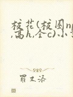 校花(校园np,高h,全c)小说