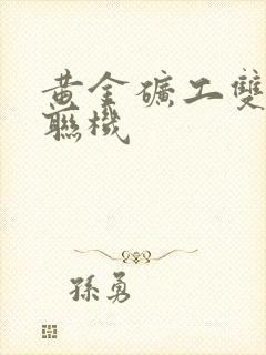 黄金矿工双人版联机封面