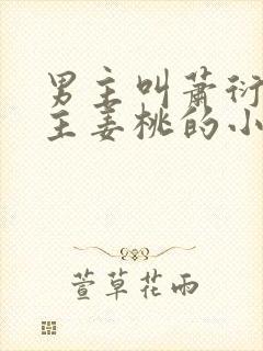 男主叫萧衍,女主姜桃的小说