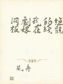 网剧我的绝美老板娘在线观看