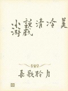 小说清冷美人的游戏封面