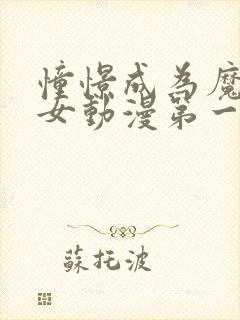 憧憬成为魔法少女动漫第一季封面