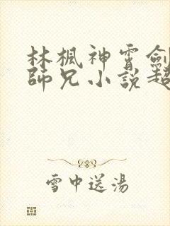 林枫神霄剑宗大师兄小说超前更新