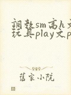 调教sm高h文玩具play文po文
