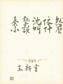 秦挚沈依然原著小说叫什么