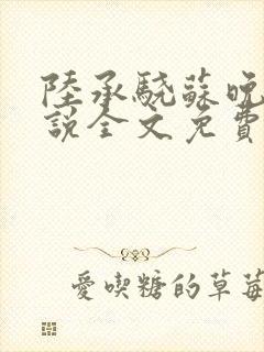 陆承骁苏晚晴小说全文免费阅读最新