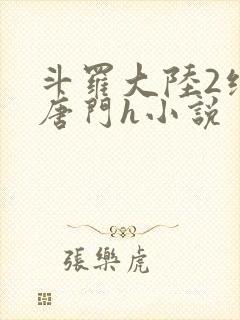 斗罗大陆2绝世唐门h小说