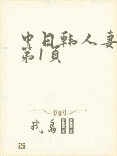 中日韩人妻av第1页封面