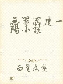 无罪国度一路向阳小说