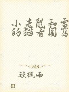 小老鼠和电脑里的猫看图写话封面