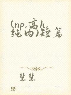 (np,高h,纯肉)短篇封面