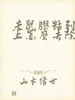 老鼠胶粘到猫身上怎么去除封面