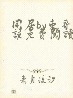 同居by东哥小说免费阅读全文无弹窗