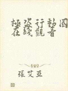 极盗行动国语版在线观看