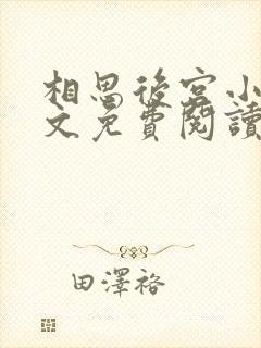 相思后宫小说全文免费阅读