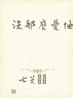 没那么爱他封面