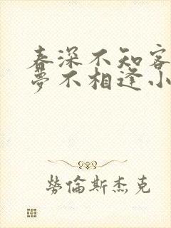 春深不知客,清梦不相逢小说