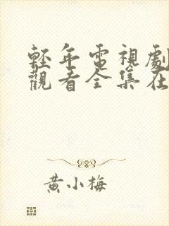 轻年电视剧免费观看全集在线播放高清